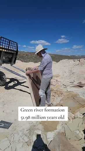 TikTok · instonefossils