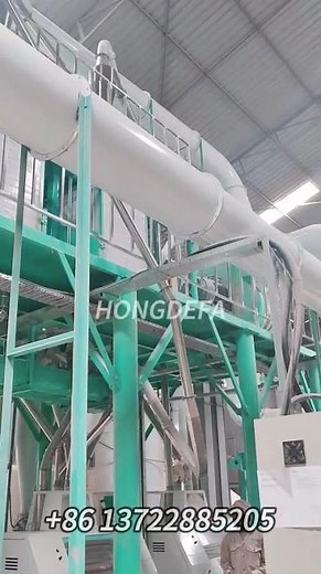 100T Industrial Maize Milling Machine in Kenya Full Processing Line for High-Quality Flour & Grits