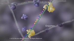 El Liquido Negro de Prometheus - Origen y Fisiopatología del PATÓGENO XENOMORFO / The Black Goo. . . . . . . . . #aliens #AlienRomulus #alieninvasion #peliculas #peliculasrecomendadas | ChamoGutierrez
