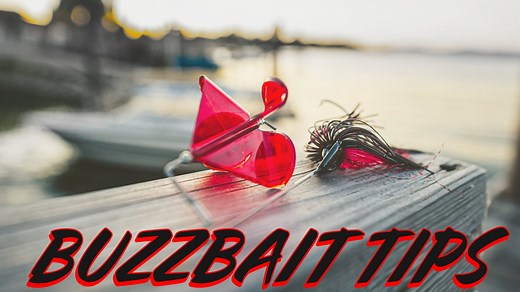 Buzzbaits - Everything You Need To Know — Tactical Bassin' - Bass Fishing Blog