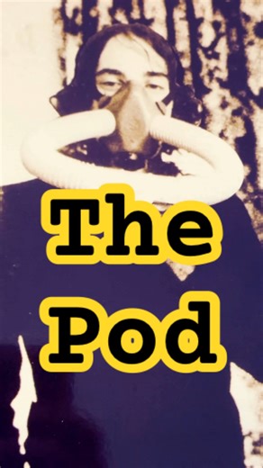 Ween : The Pod song ranked by Joe from Joepinionated #ween