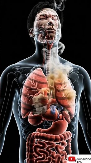 Inside Your Body When You Smoke A Cigarette? 🚬 | 3D Educational Animations #Anatopro3D