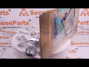 SoonParts-D950 Overhaul Rebuild Kit for Kubota Engine D950