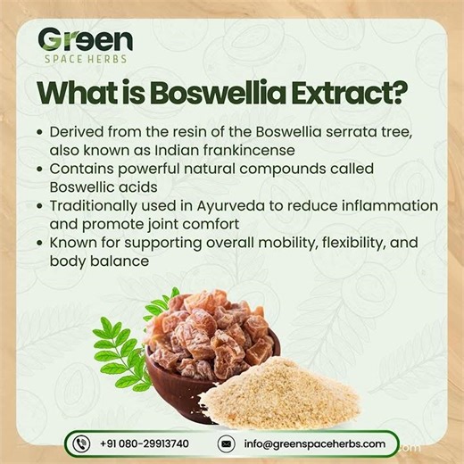 Boswellia Extract - nature’s powerful anti-inflammatory! #Greenspaceherbs #ayurvedicherbs