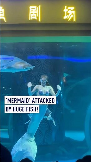 ‘Mermaid’ attacked by huge fish!