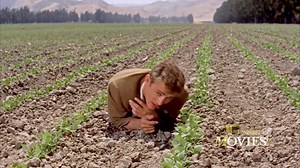 These films are award-winning for a reason! Join us on Tuesday for the all-star marathon! | Movies TV Network