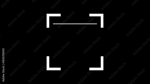 Scanner icon animation. Fingerprint biometric scanning animation. Biometric scanning animation. 4k video