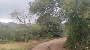 41 reactions | #NoticiasRTQ Con lloviznas, cielo nublado y una temperatura de 19 grados Centígrados es como se encuentra la temperatura en Jalpan de Serra, mientras que en Pinal de Amoles sigue siendo la región con más bajas temperaturas teniendo como mínima de 5 grados Centígrados. #ConectadosContigo #RTQContigo #Contigo #RTQ #NoticiasQuerétaro #Noticias | Radio Televisión Querétaro | Facebook