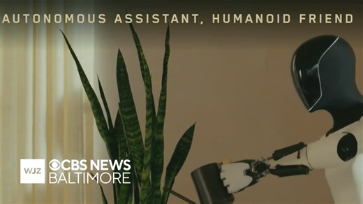 Elon Musk says humanoid robots could hit the market next year, helping with household chores
