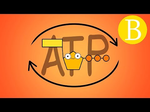 🔥 ¿Qué es el ATP? - Adenosín trifosfato | Biología Desde Cero