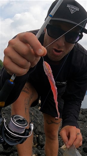 41K views · 280 reactions | NOT WHAT YOU WANT TO CATCH! | Field Days | Facebook