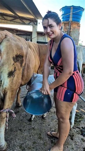 Fresh Cow Milk 🐄🥛 | Traditional Cow Milking | Amazing Farm Life #shorts