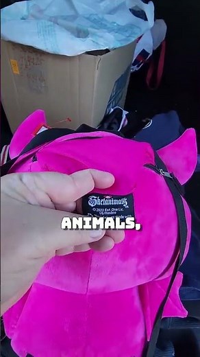 Discovering Unique Goodwill Finds! #shorts #goodwill #fyp #views