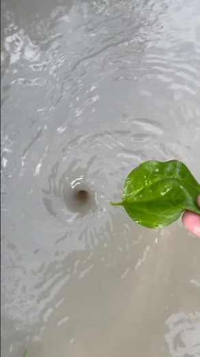 Amazing Water Vortex Experiment!? #whrilpool #experiment #experiments #vortex #waterexperiments