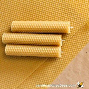 How to Make Rolled Beeswax Candles- Carolina Honeybees