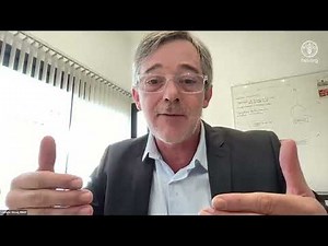 Agroecology and Institutional Framework, Family Agriculture MERCOSUR Advancements in Public Policies