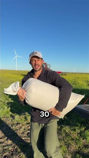 Alfalfa, avena, tractor, discos y dron…. #djiagriculture