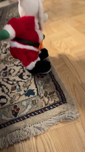 Ahhhh mannn.. not this time of year again! 🎅😤 The hoomans have started bringing out those weird red-hooded houseguests - and I’m not a big fan. Especially this dancing little one, singing about how he loves my ladys lovely bootay. 🤨🍑 Absolutely unacceptable! So, I had to step in and show him who’s the boss around here. 💪🦍🐾 #AprilAndJack #NotASantaFan #DancingSantaDrama #ProtectiveJack #ScottieVsSanta #HolidayMadness #TerrierJustice #scottishterrier #terrier #dog #scottiedog #doglife #dogs