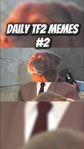 The Funniest TF2 Memes #2