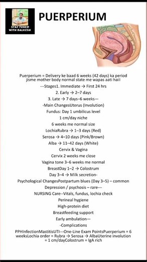 Puerperium Explained in Easy Way | Postnatal Period | Nursing Notes #staytunedwithbalkesh