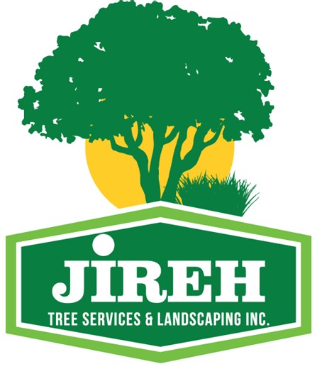 👷‍♂️Tree Service, in Alpharetta, GA 🗣️Call us right now and get a #freeestimate ☎️(678) 457-3487 {GA} ☎️(706) 496-9237 {SC} ✅Fully Insured ✅licensed . . . #treeservice #TreeServiceProfessionals #treeservicenearme #treeservicecompany #treeworker #treeremoval #treeremovalexperts #treeremovalservice #arboristsofinstagram #usareels #Georgia #southcarolina #working | Jireh Tree Services & Landscaping