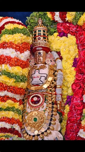 aarunai on Instagram: "#abithakuchamba unnamulai amman uthrayana punyakalam mahostavam ambal paradebatha #trendingreels #festival"