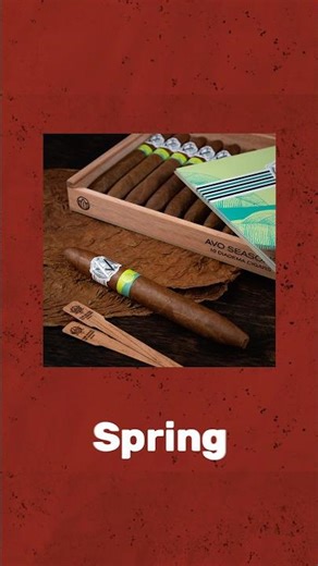 Spring Cigars Explained: Temperature, Season & Taste #CigarCulture #CigarShorts #cigars