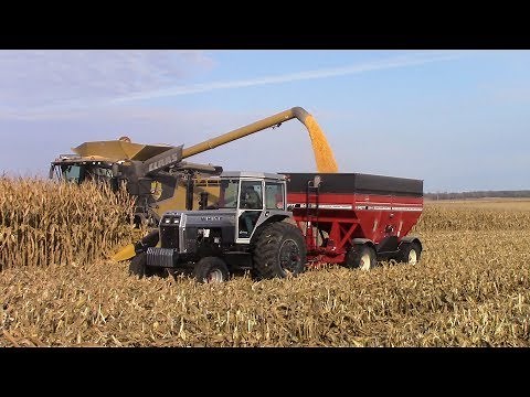 Iowa Corn Harvest with Big Tractor Power