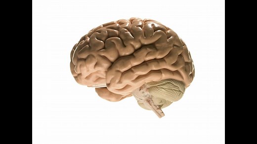 How to use the RACE scale for stroke severity