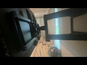 How to position TCL Roku TV on Wall Mount