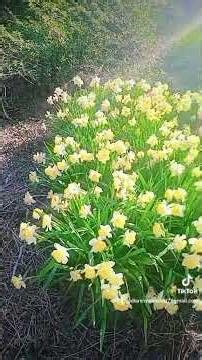 dans la vie le respect est réciproque