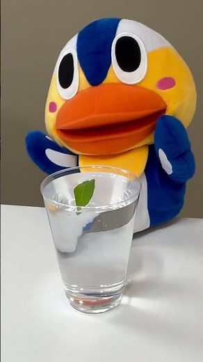 【水見イキ】コップの水に力を込めてみた【#ハメチャレ】【#ぬきたし】