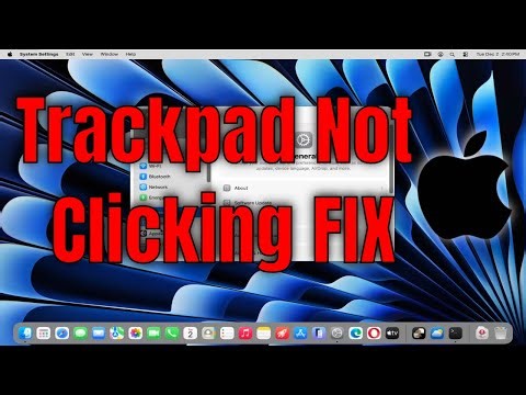 How to Fix MacBook Trackpad Not Clicking [Solution]