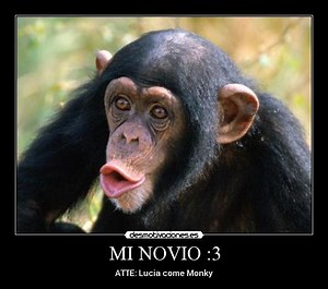 Watch full movie Monky with english subtitles 1440
