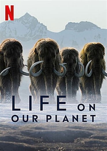 How to watch Life on Our Planet: The best streaming options