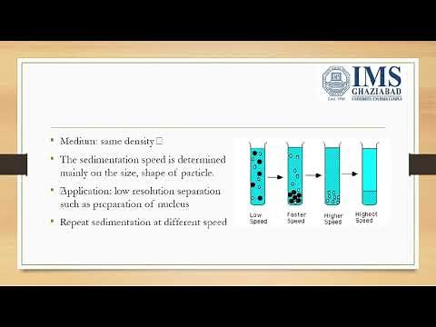 differential centrifugation