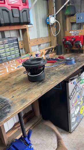 Ricky Friery on TikTok