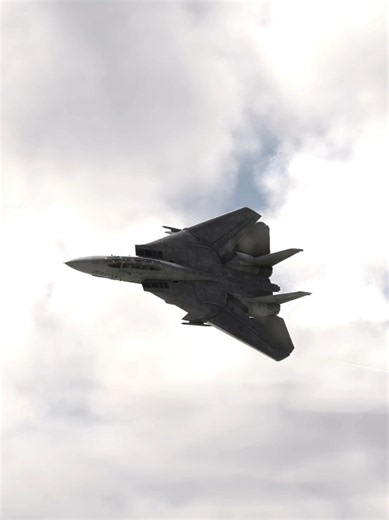 Tomcat virtual display training 📝 Every week I get closer to the goal. I'm watching and rewatching real life display videos, studying the performance and capabilities of the F-14 in the simulator, flying and taking notes for speed, altitude, power, I fly again and again, to memorize the figures, to smooth the edges, to clear errors. In this video: the high speed pass at .9 mach and the John Derry right turn 🔥 #f14 #tomcat #display #training #needforspeed