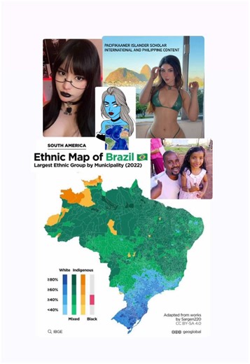 Ethnic map of Brazil #geography #map #maps #mapper #mapping