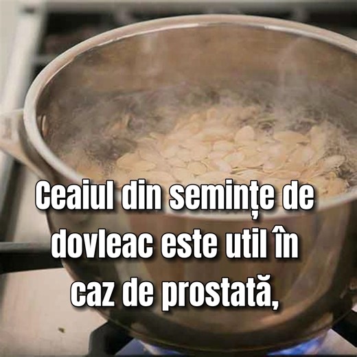 996K views · 10K reactions | Ceaiul din semințe de dovleac este util în caz de prostată, scade zahărul din sânge, scade colesterolul #sanatate #remediinaturiste #tratamentenaturiste | Refugiul Inimii | Facebook
