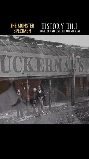 Gold Rush Dictionary: Why Historians Get Mining History WRONG By Misunderstanding One Simple Word "The paddocks in Hill End were glistening with gold." WRONG interpretation! Historians blunder when they think "paddock" meant farm field—it was actually quartz storage areas at stamper batteries! After rain, these quartz piles revealed their hidden gold. The word has FOUR different meanings in mining context, including the Chinese miners' technique of "taking everything between bedrock and surface.