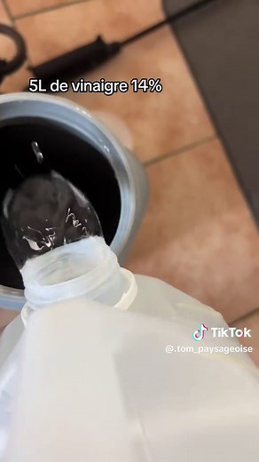 Meilleur désherbant maison naturel