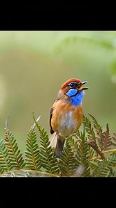 This view is absolutely Amazing 😍 | Amazing Nature