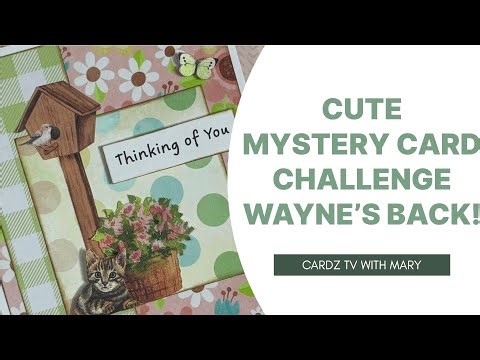 CUTE KITTY MYSTERY CARD CHALLENGE | WAYNE’S BACK | EPISODE 45