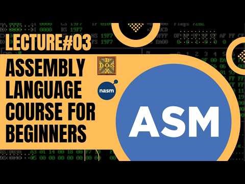 Writing Your First Assembly Program & Understanding AFD Debugger | Assembly Language | #3