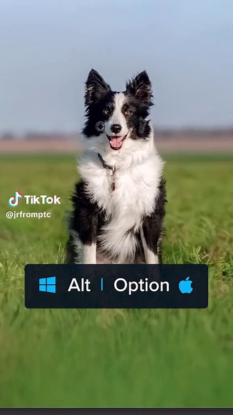 Master Photoshop Clone Stamp Tool: Scale & Rotate Shortcuts