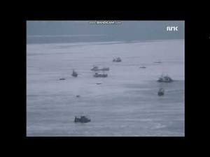 Brislingefiske i Hardangerfjorden