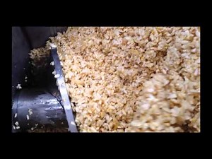 Dewatering Corn Germ Wet Milling - Vincent Screw Press