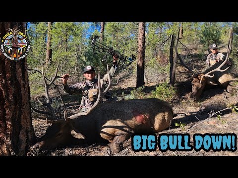Archery Bull Elk Hunt | BULL DOWN!!