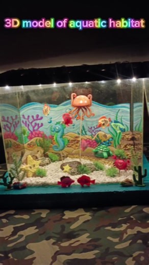 Aquatic Habitat Model: DIY Project Ideas for School